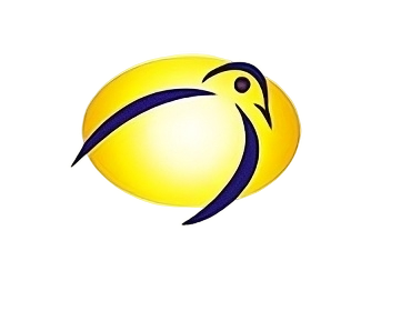 Insurance Portal